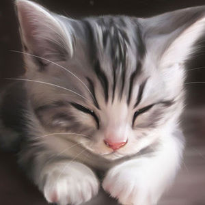 Meet your Posher, Gloria